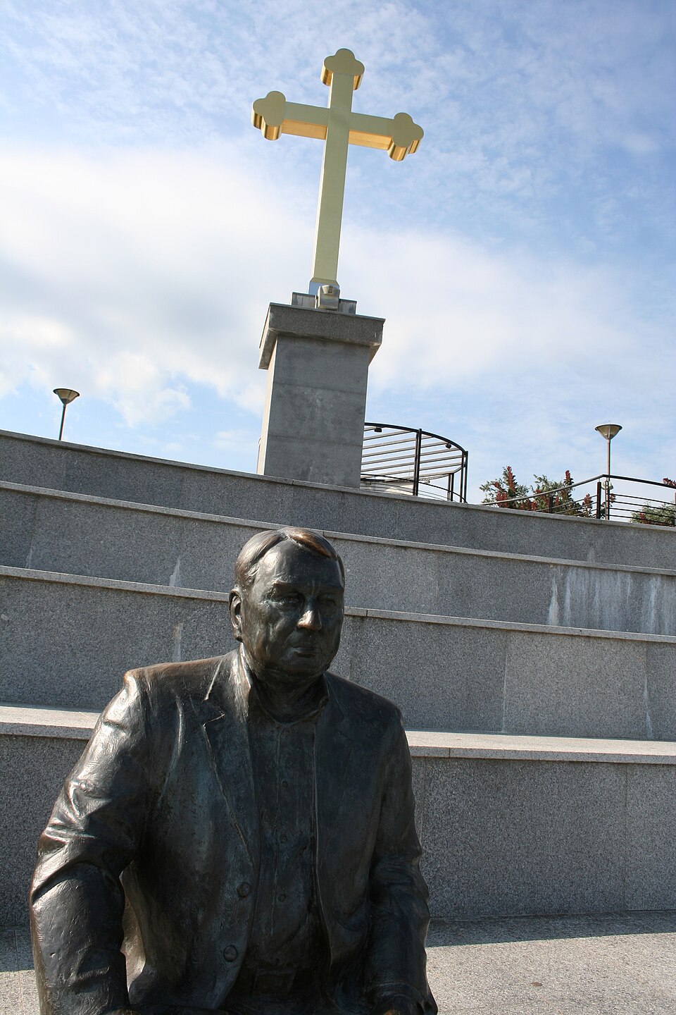 Vladan Martic