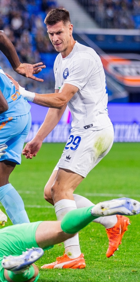 Vladan Radulović