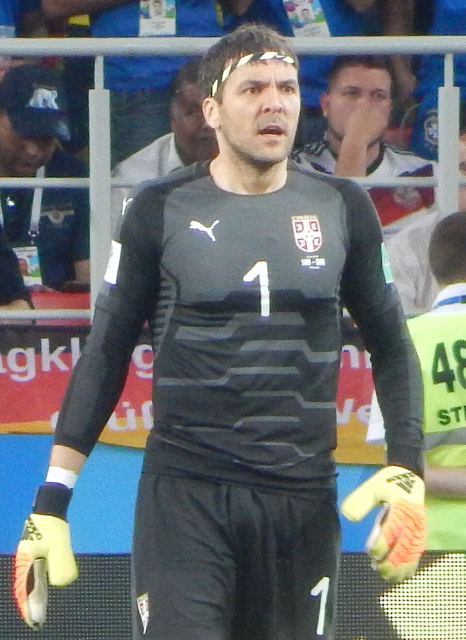 Vlade Tošić