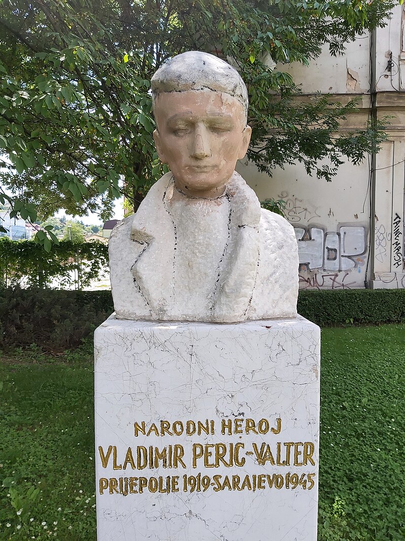 Vladimir Perić