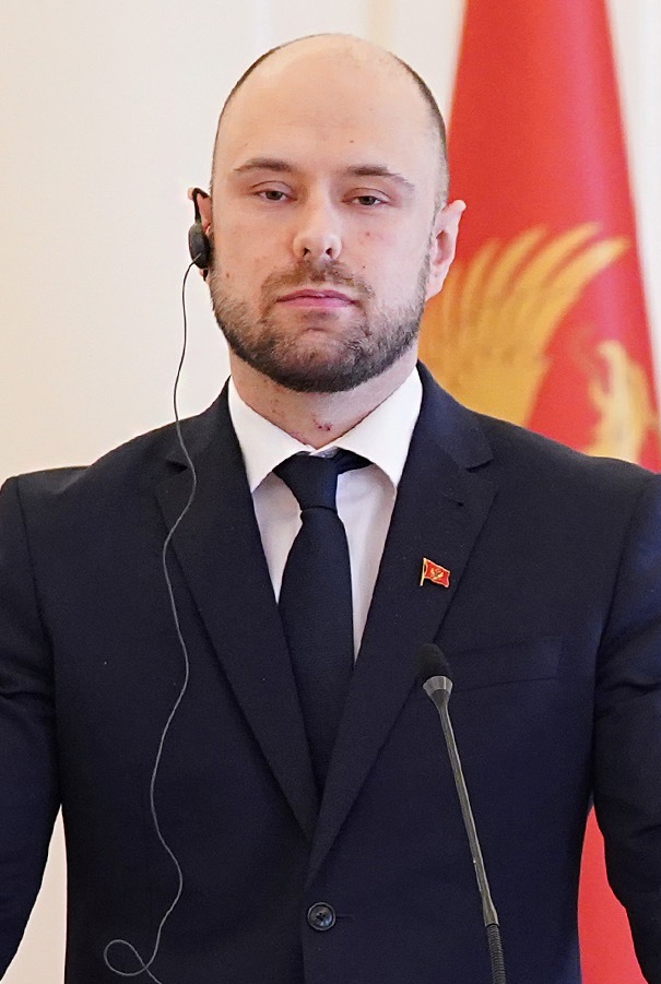 Vladimir Radulovic
