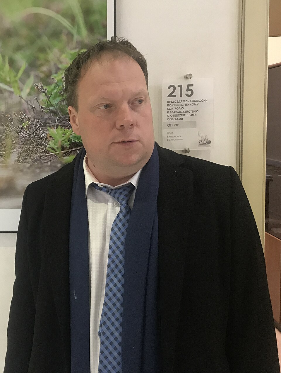 Vladislav Grib