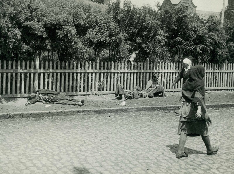 Volodymyras Zelenskis