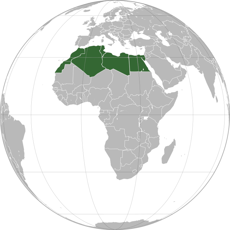 Wadii Jari