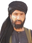 Walid Hamada