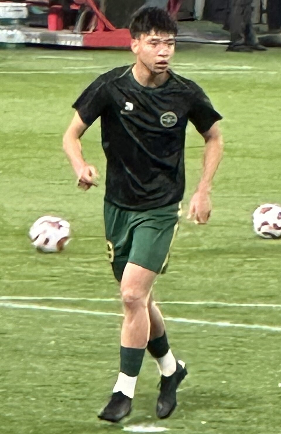 Wang Yudong