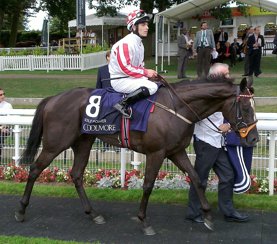 Wayne Lordan