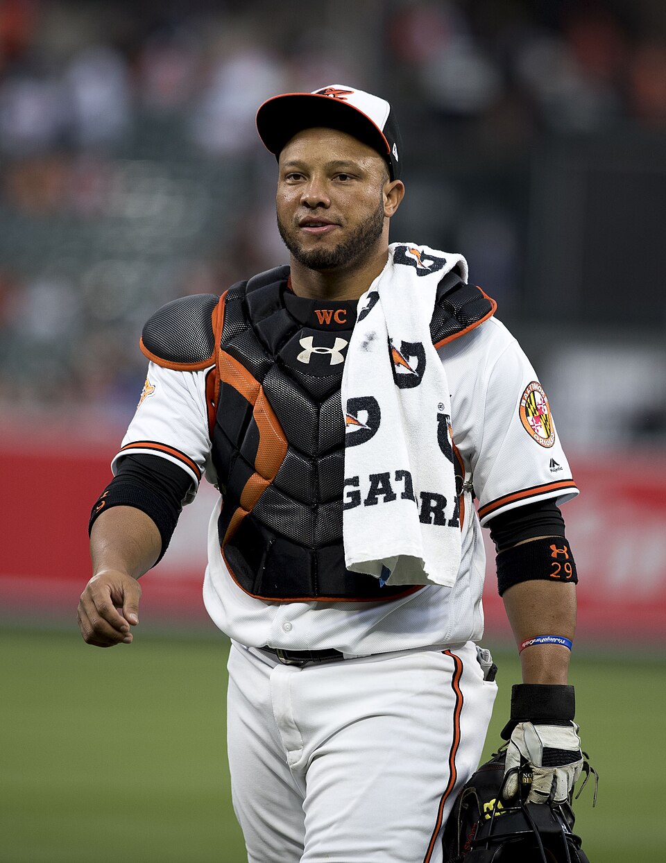 Wellington Castillo
