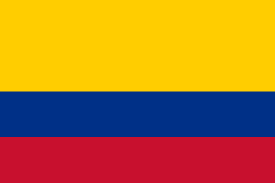 Wendy Manrique Cubillos