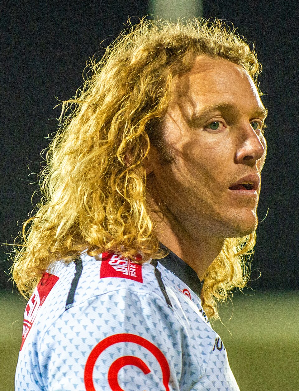 Werner Kok