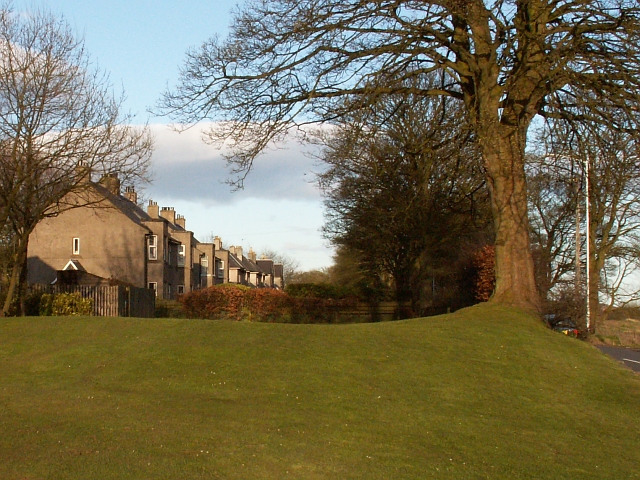 Will Cadham