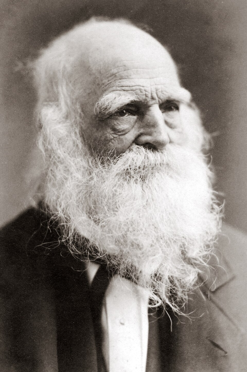 William Bryant