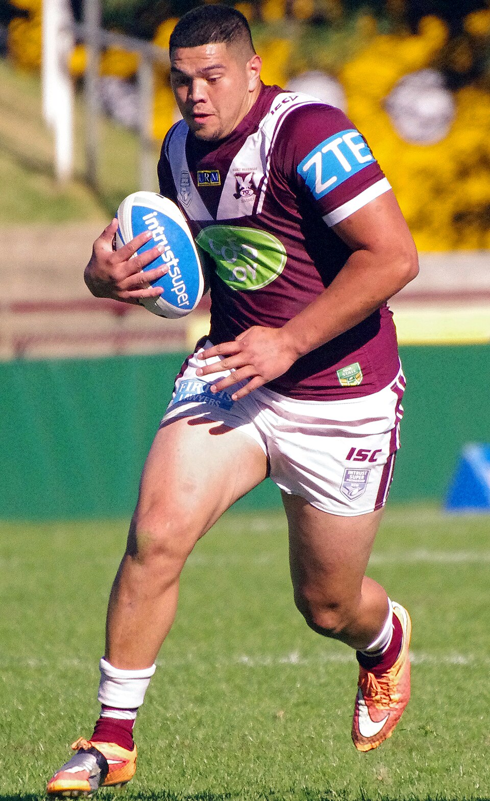 Willis Meehan