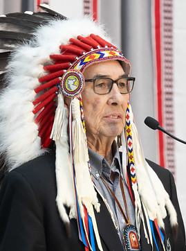 Wilton Littlechild