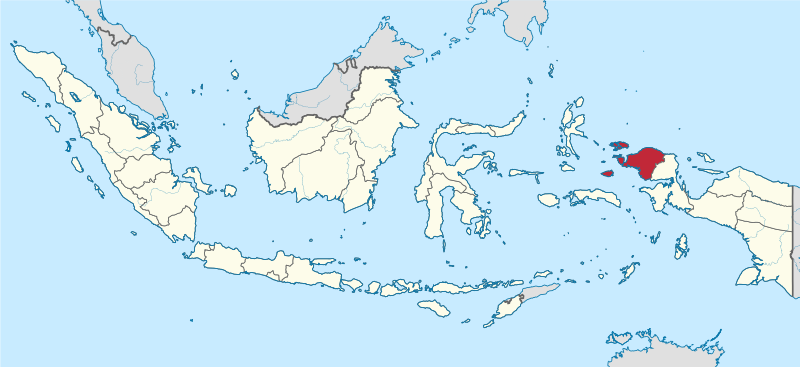 Wisnu Widiantoro
