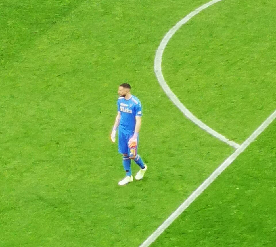 Wladimiro Falcone