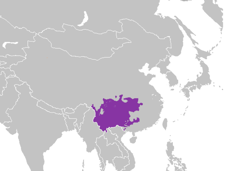 Xi Nan