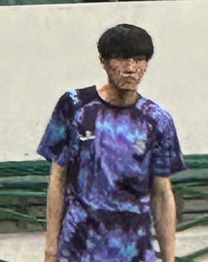 Xie Weijun