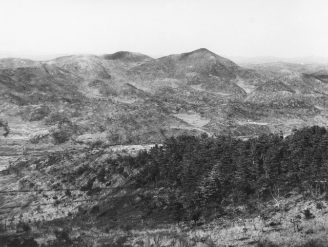 Xie Zhengrong
