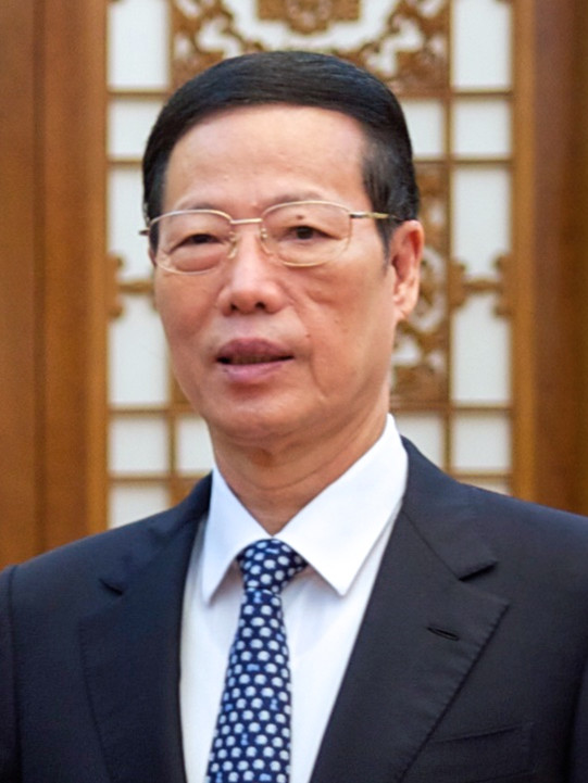 Xu Gaoli