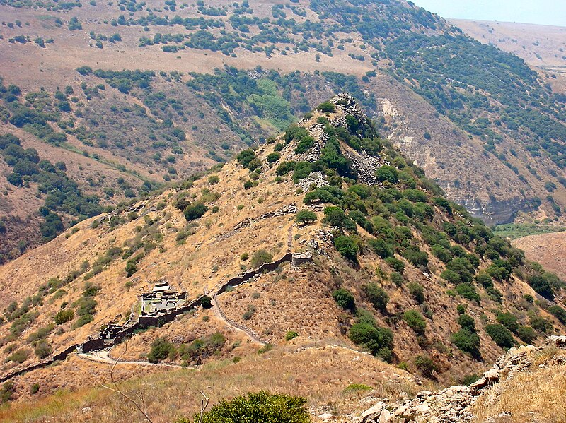 Ya'ir Golan
