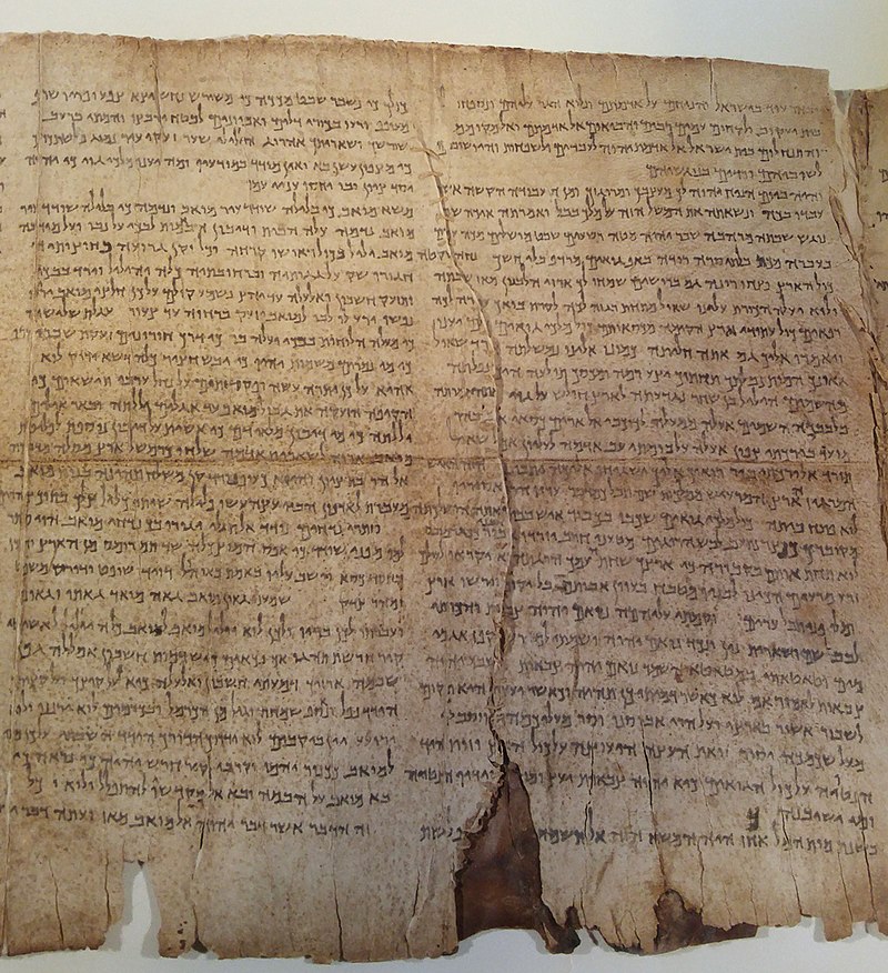 Yağmur G.
