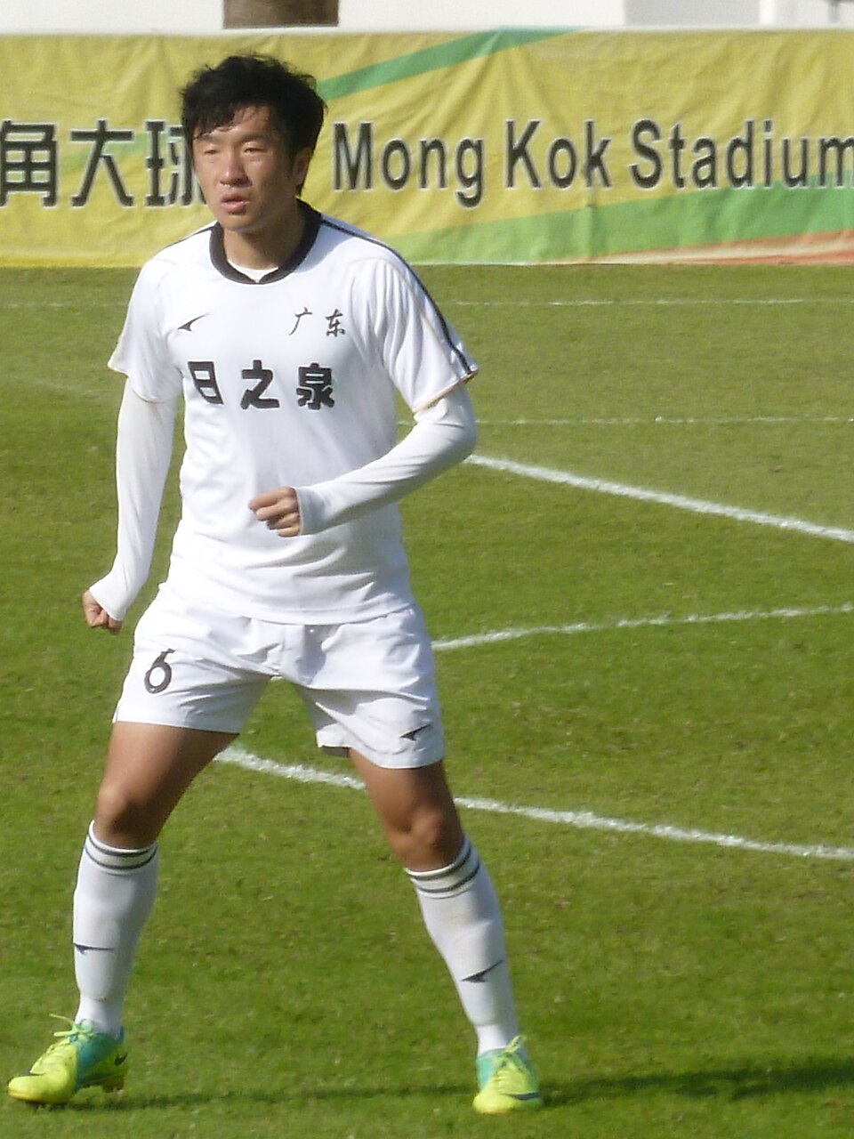 Yan Yingli