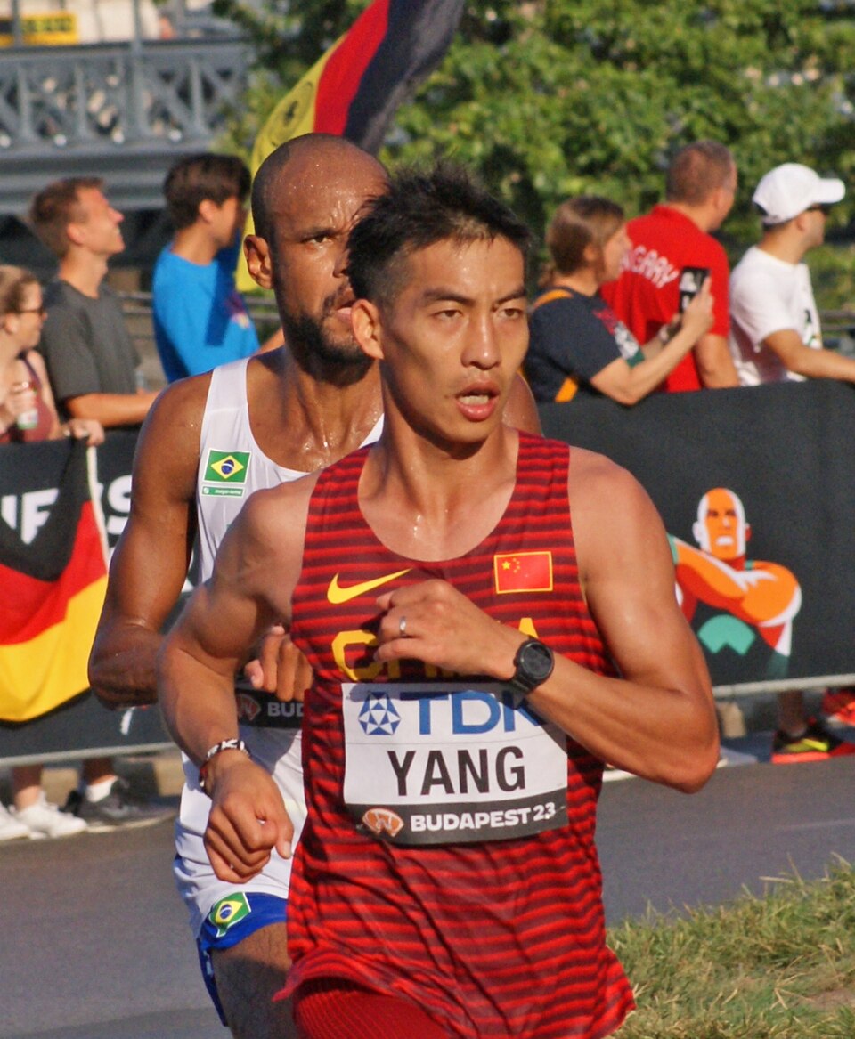 Yang Shaohui