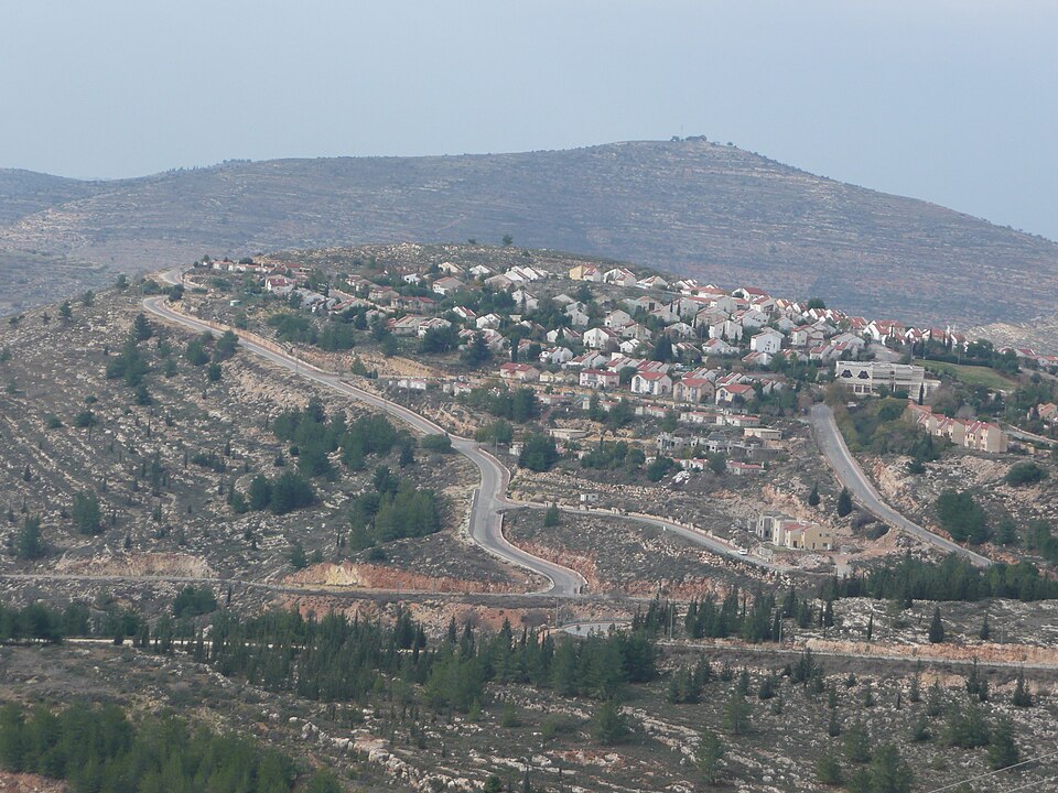 Yigal Levinstein