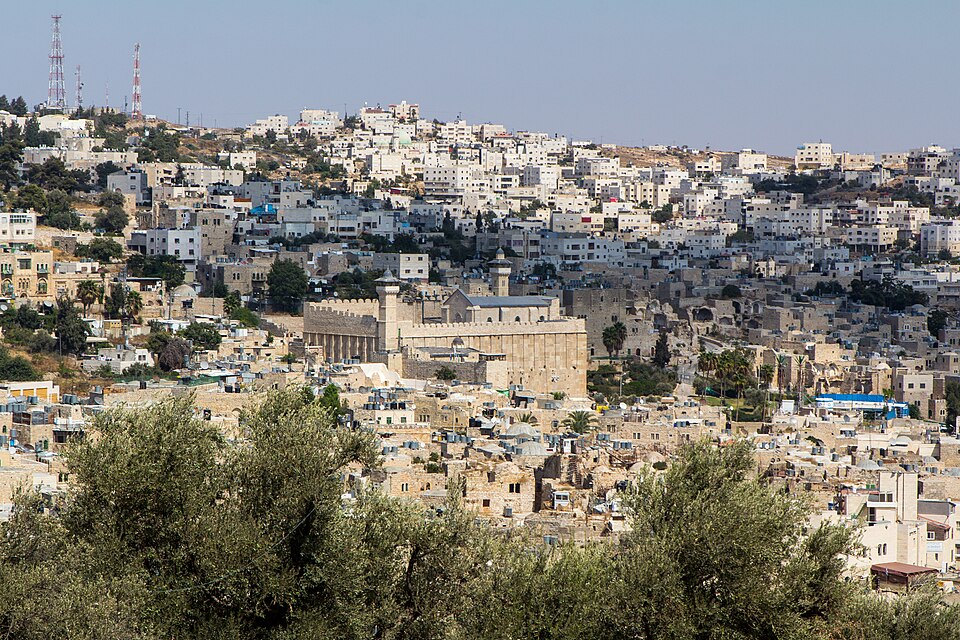 Yigal Wein