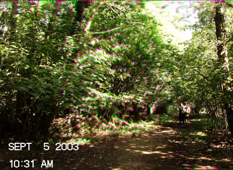Yoav Palma