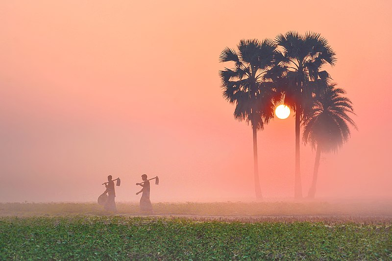 Yu Huaying