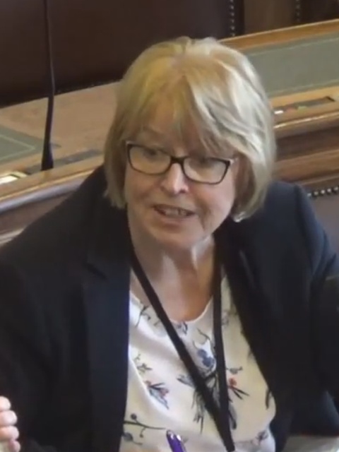 Yvonne Nolan