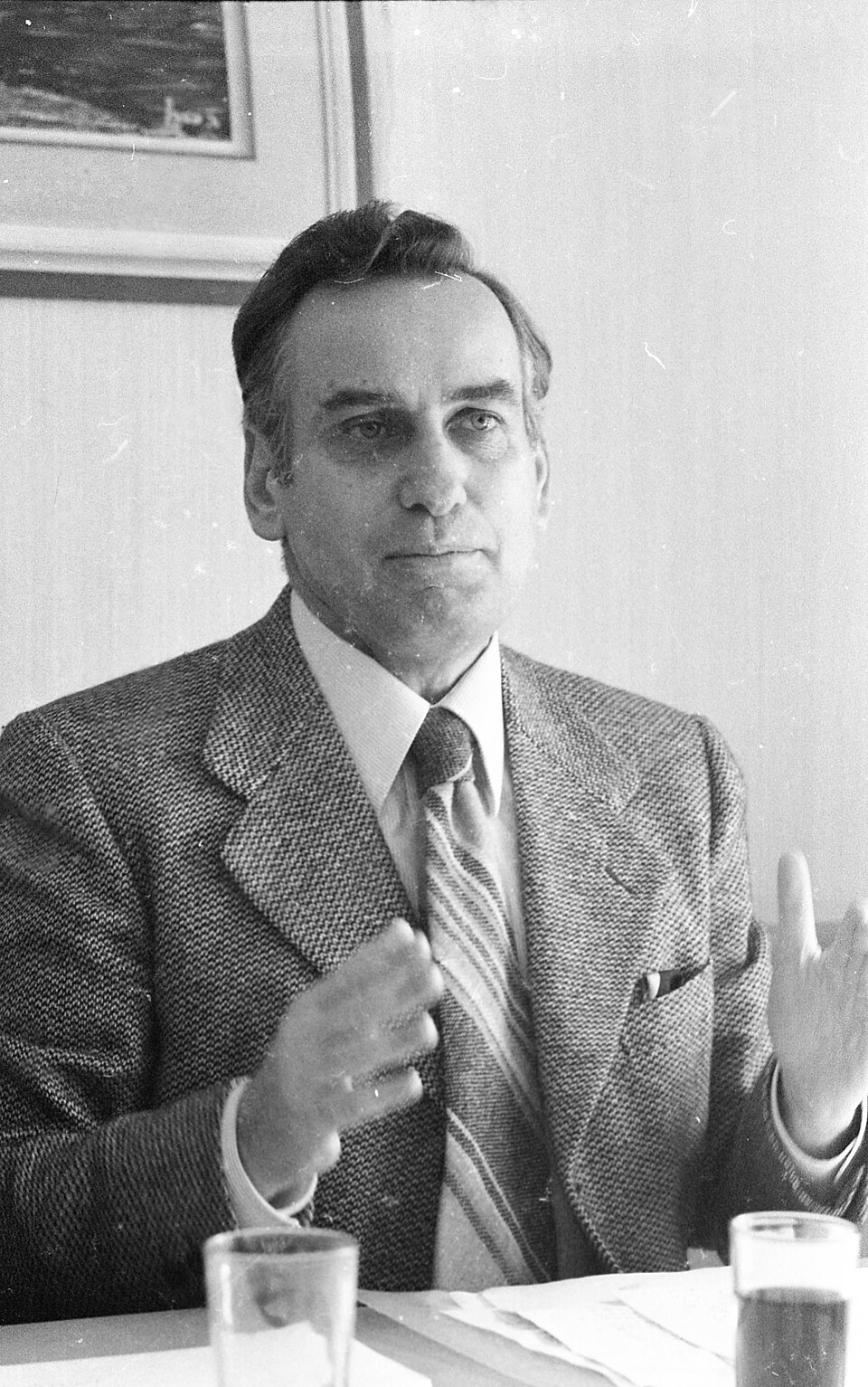 Zalman Shoval