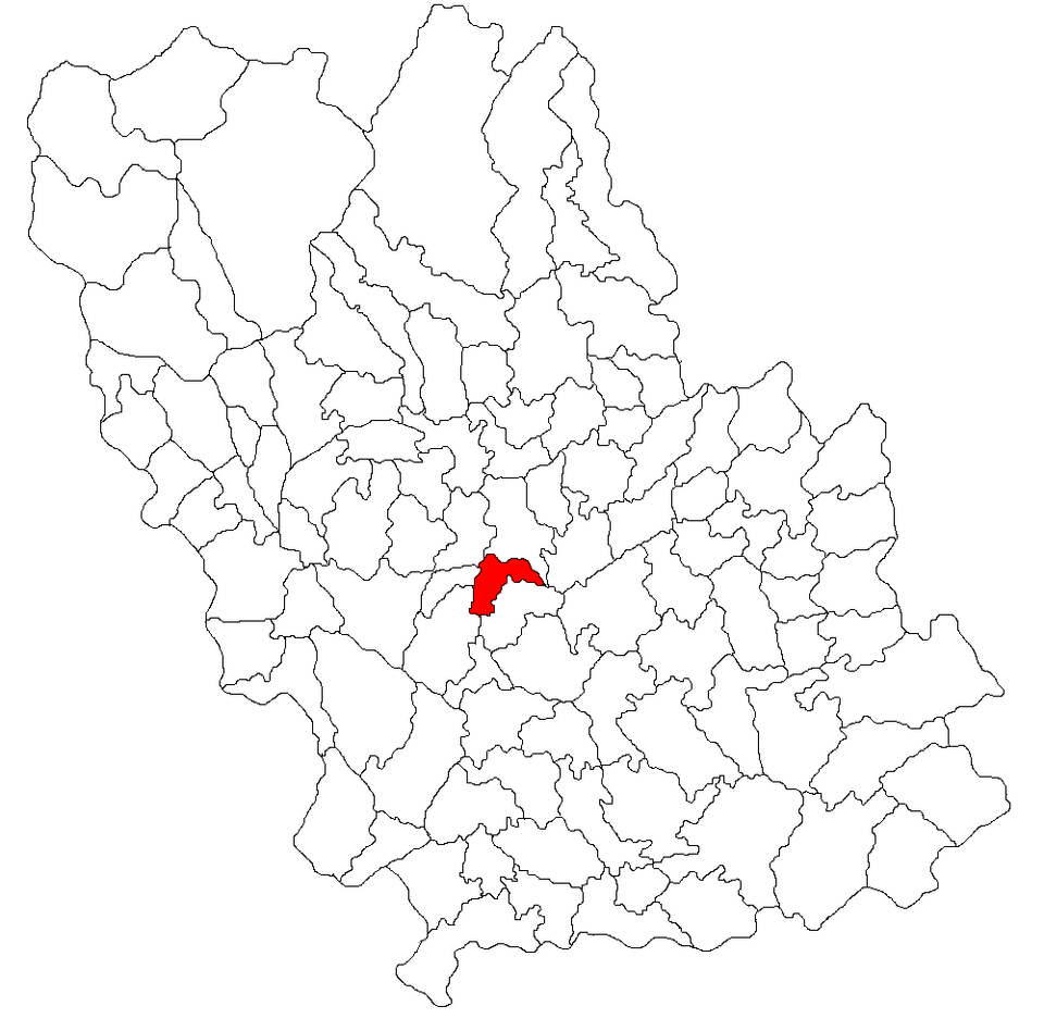 Zamfira