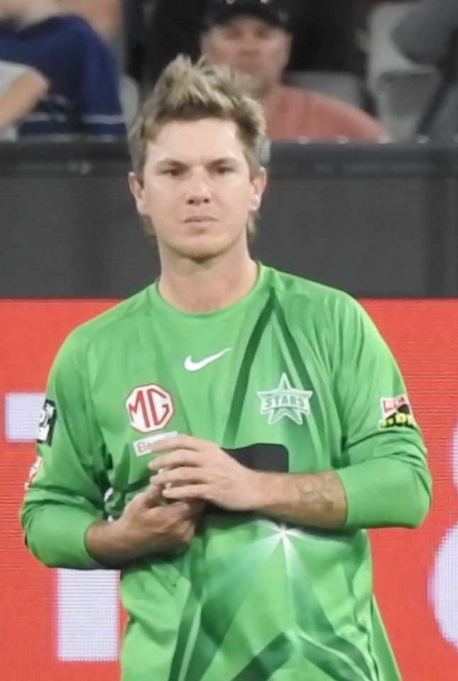 Zampa