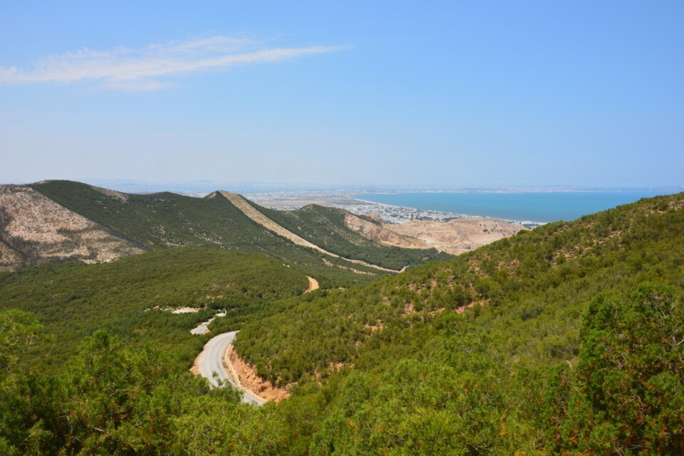 Zargua