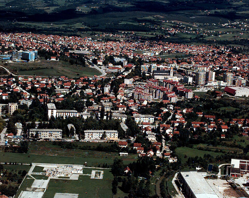 Željko Bertić