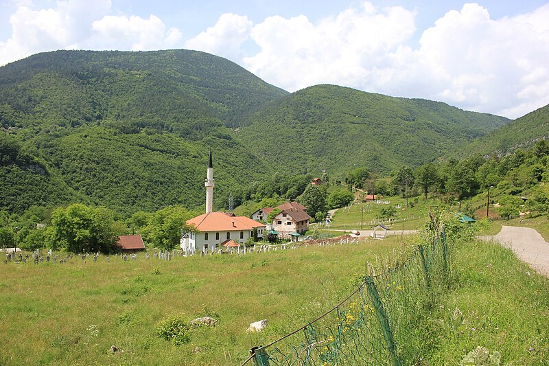 Zeppa