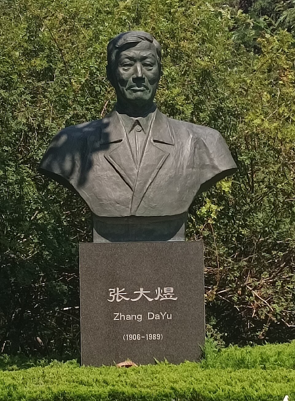 Zhang Dayu