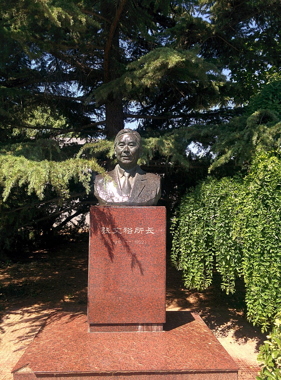 Zhang Wenyu