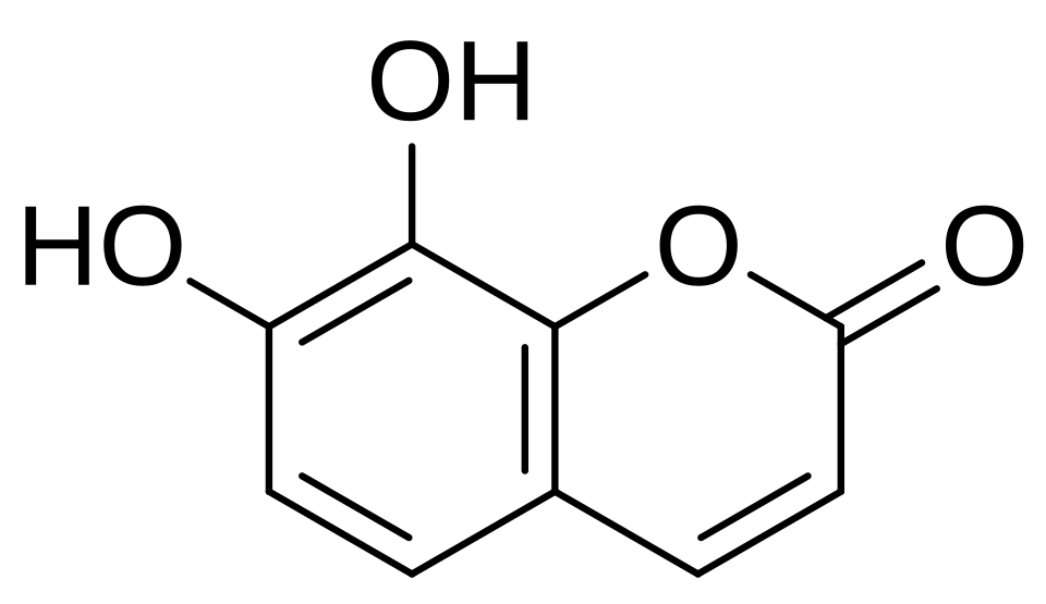 Zhu Xiqun