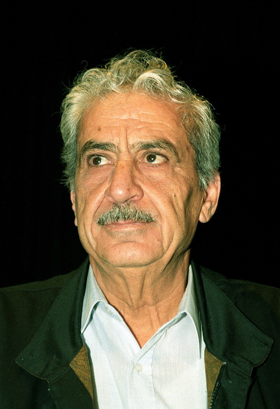 Ziad Tawfik