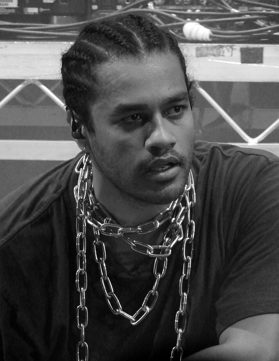 Ziggy Ramo