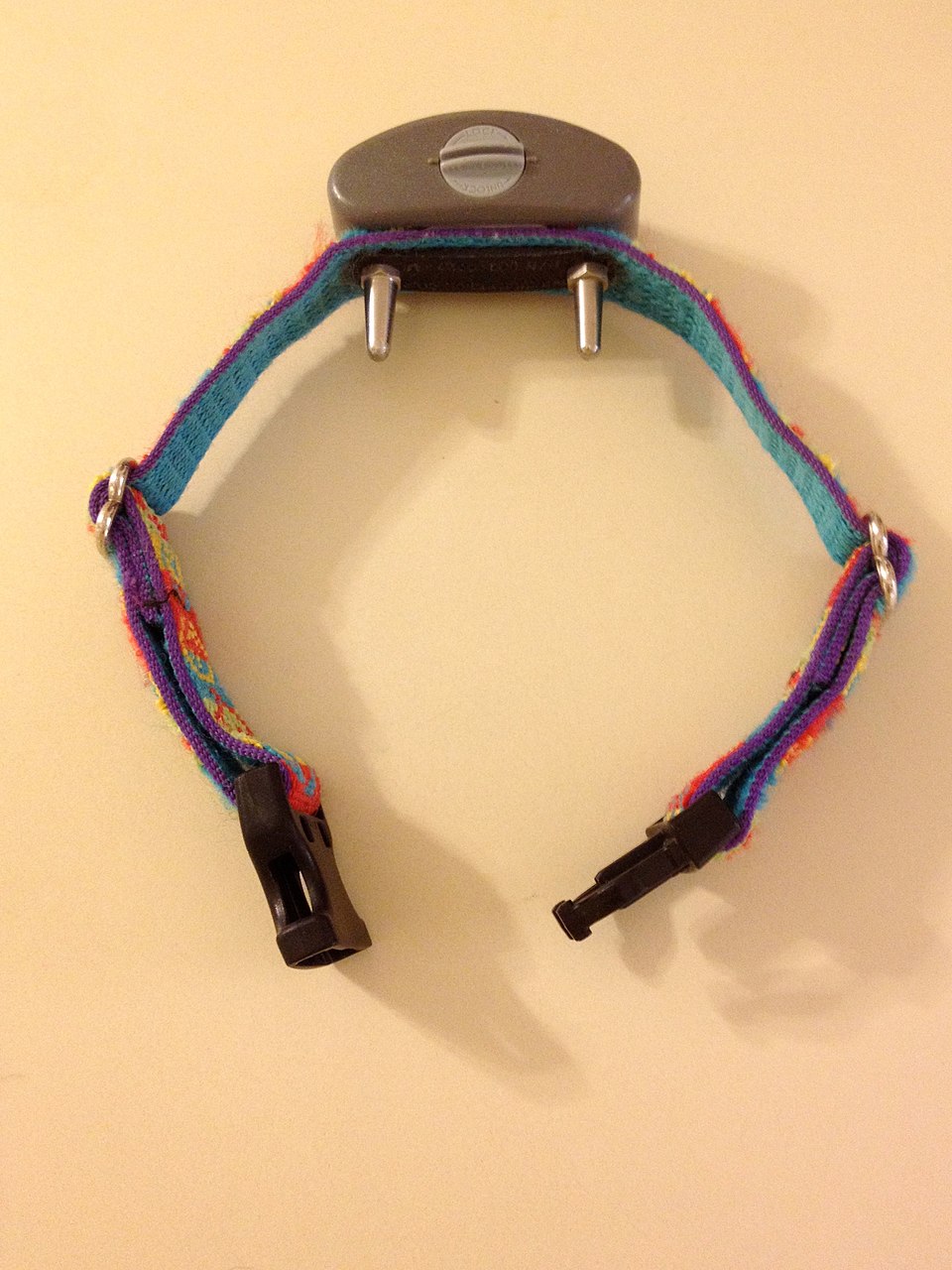 Ziv Halsband