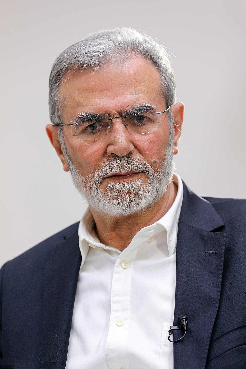 Ziyad Al-Sheikh
