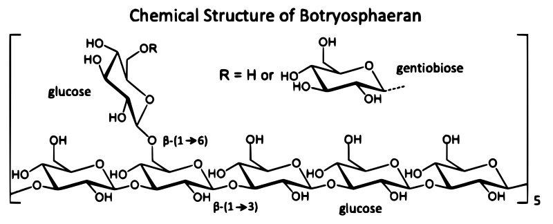 Zuleica Barros