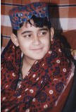 Zulfikar Ali Bhutto Junior