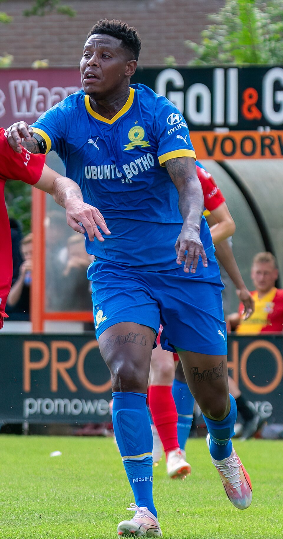 Zungu