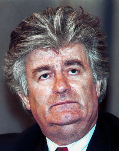 Zvezdana Draskovic